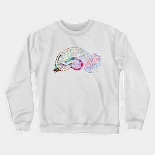 Brain Pyramidal Crewneck Sweatshirt